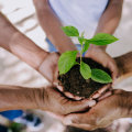 Addressing Environmental Concerns: Public Policies in Rockville, MD