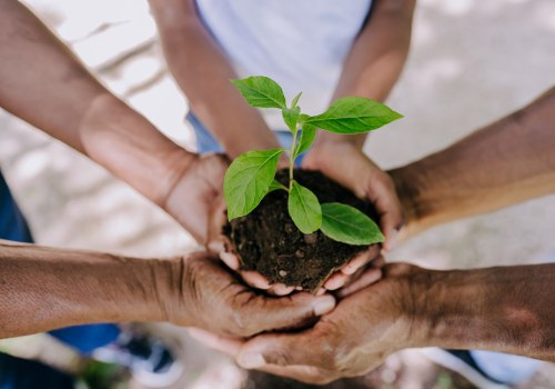 Addressing Environmental Concerns: Public Policies in Rockville, MD
